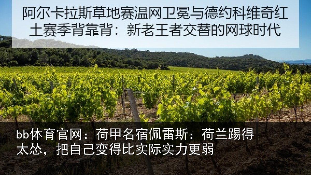 bb体育官网：荷甲名宿佩雷斯：荷兰踢得太怂，把自己变得比实际实力更弱