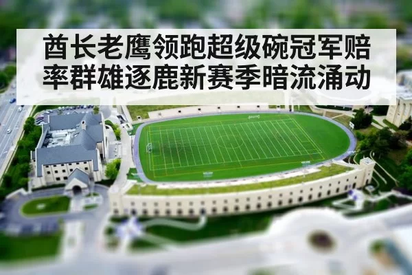 酋长老鹰领跑超级碗冠军赔率群雄逐鹿新赛季暗流涌动