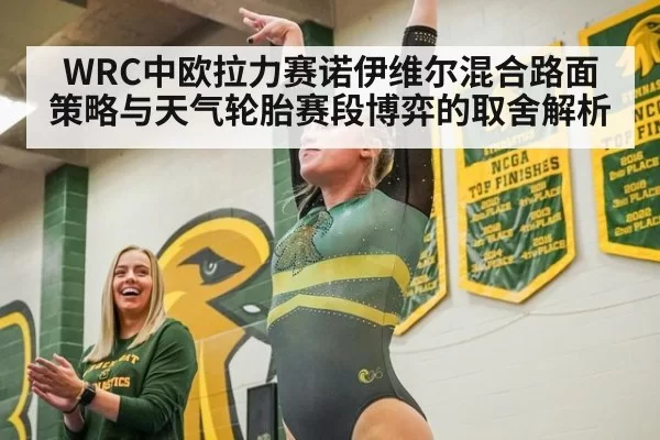 WRC中欧拉力赛诺伊维尔混合路面策略与天气轮胎赛段博弈的取舍解析